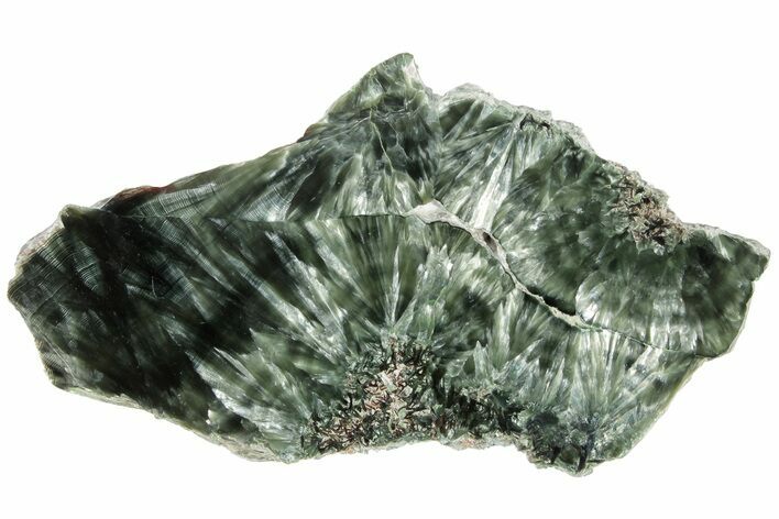 Polished Seraphinite Slab - Siberia #183511